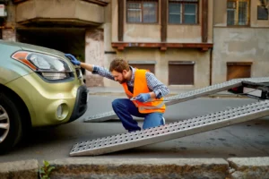 Vehicle Owners